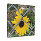 Sunflower Behind A Fence Canvas Gallery Wraps