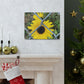 Sunflower Behind A Fence Canvas Gallery Wraps