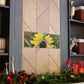 Sunflower Behind A Fence Canvas Gallery Wraps