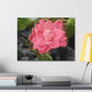 Pink Flower On A Vine | Wall Canvas | Bloom Collection