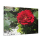 Europeana Red Rose | Wall Art Print | High Bloom Collection | Life By Ortavia