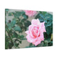 Focus on a Pink Rose | High Bloom Collection | Wall Art Print | Life By Ortavia