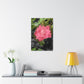 Pink Flower On A Vine | Wall Canvas | Bloom Collection