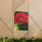 Europeana Red Rose | Wall Art Print | High Bloom Collection | Life By Ortavia