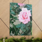 Focus on a Pink Rose | High Bloom Collection | Wall Art Print | Life By Ortavia