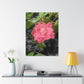 Pink Flower On A Vine | Wall Canvas | Bloom Collection