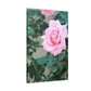 Focus on a Pink Rose | High Bloom Collection | Wall Art Print | Life By Ortavia