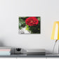 Europeana Red Rose | Wall Art Print | High Bloom Collection | Life By Ortavia