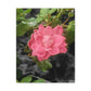 Pink Flower On A Vine | Wall Canvas | Bloom Collection