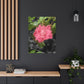 Pink Flower On A Vine | Wall Canvas | Bloom Collection