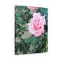 Focus on a Pink Rose | High Bloom Collection | Wall Art Print | Life By Ortavia