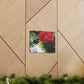 Europeana Red Rose | Wall Art Print | High Bloom Collection | Life By Ortavia