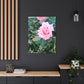 Focus on a Pink Rose | High Bloom Collection | Wall Art Print | Life By Ortavia