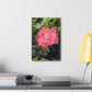 Pink Flower On A Vine | Wall Canvas | Bloom Collection