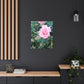 Focus on a Pink Rose | High Bloom Collection | Wall Art Print | Life By Ortavia