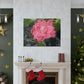 Pink Flower On A Vine | Wall Canvas | Bloom Collection