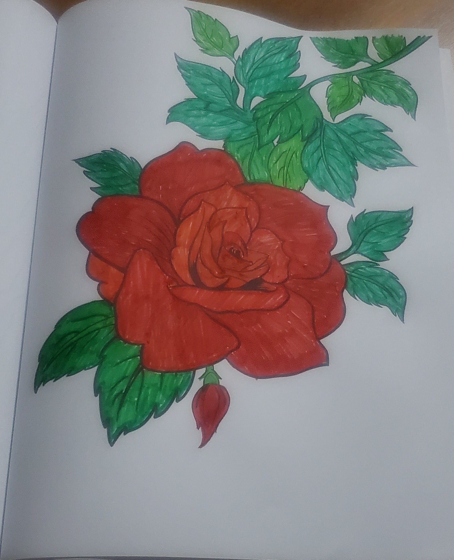 Book of Flowers