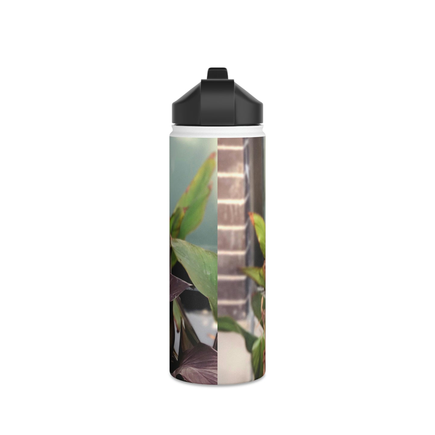 Red Canna | Stainless Steel Water Bottle, Standard Lid | High Bloom Collection | Life By Ortavia