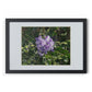 Framed Posters, Black