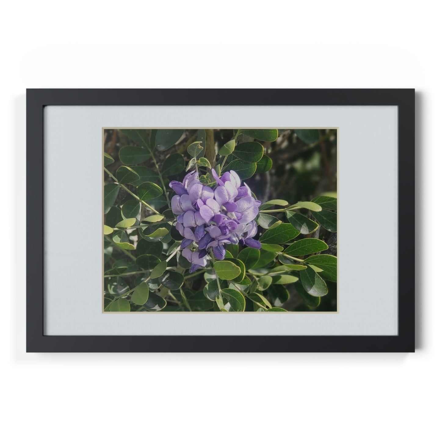 Framed Posters, Black