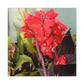 Red Canna | High Bloom Collection | Wall Art Print | Life By Ortavia