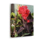 Red Canna | High Bloom Collection | Wall Art Print | Life By Ortavia