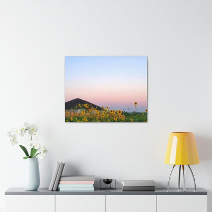 Sunflowers and a Rainbow Sky Canvas Gallery Wraps