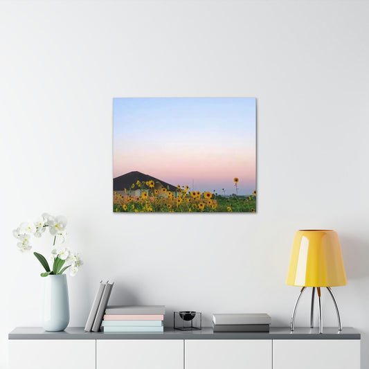 Sunflowers and a Rainbow Sky Canvas Gallery Wraps