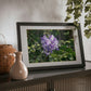 Framed Posters, Black
