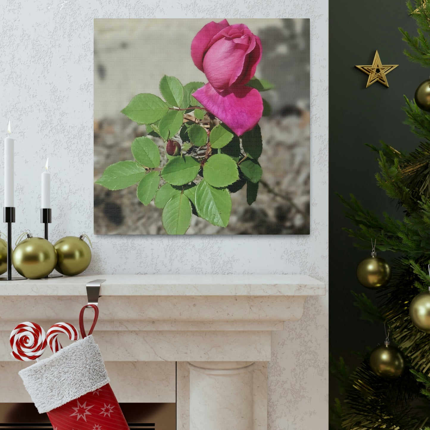 Dear Pink Rosa | High Bloom Collection | Canvas | Life By Ortavia
