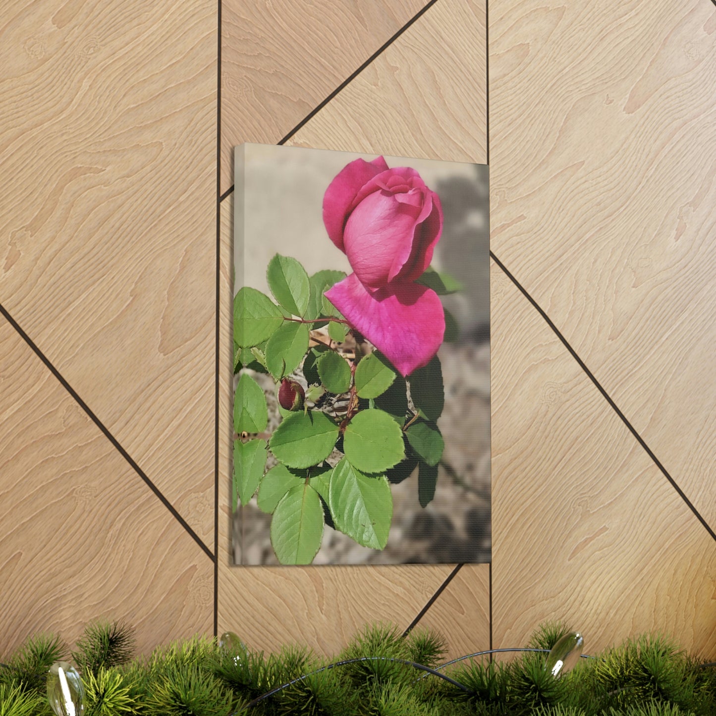 Dear Pink Rosa | High Bloom Collection | Canvas | Life By Ortavia