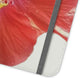 Peach Hibiscus White Background | Folio Phone Case | High Bloom Collection | Life By Ortavia