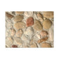 Big Gravel Sidewalk | Wall Art Print | Urban Geographic Collection | Life By Ortavia