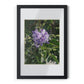 Framed Posters, Black