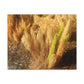 Golden Foxtail Fern | Wall Art Canvas | High Bloom Collection | Life By Ortavia