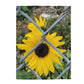 Cozy Velveteen Plush Throw Blanket with Sunflower Behind A Fence Design 30x40 50x60 60x80
