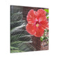 Art Prints & Wall Art, Gallery Canvas with Peach Hibiscus Flower