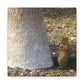 Squirrel and A Nut | Wall Art Print | Urban Geographic Collection | Life By Ortavia