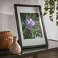 Framed Posters, Black