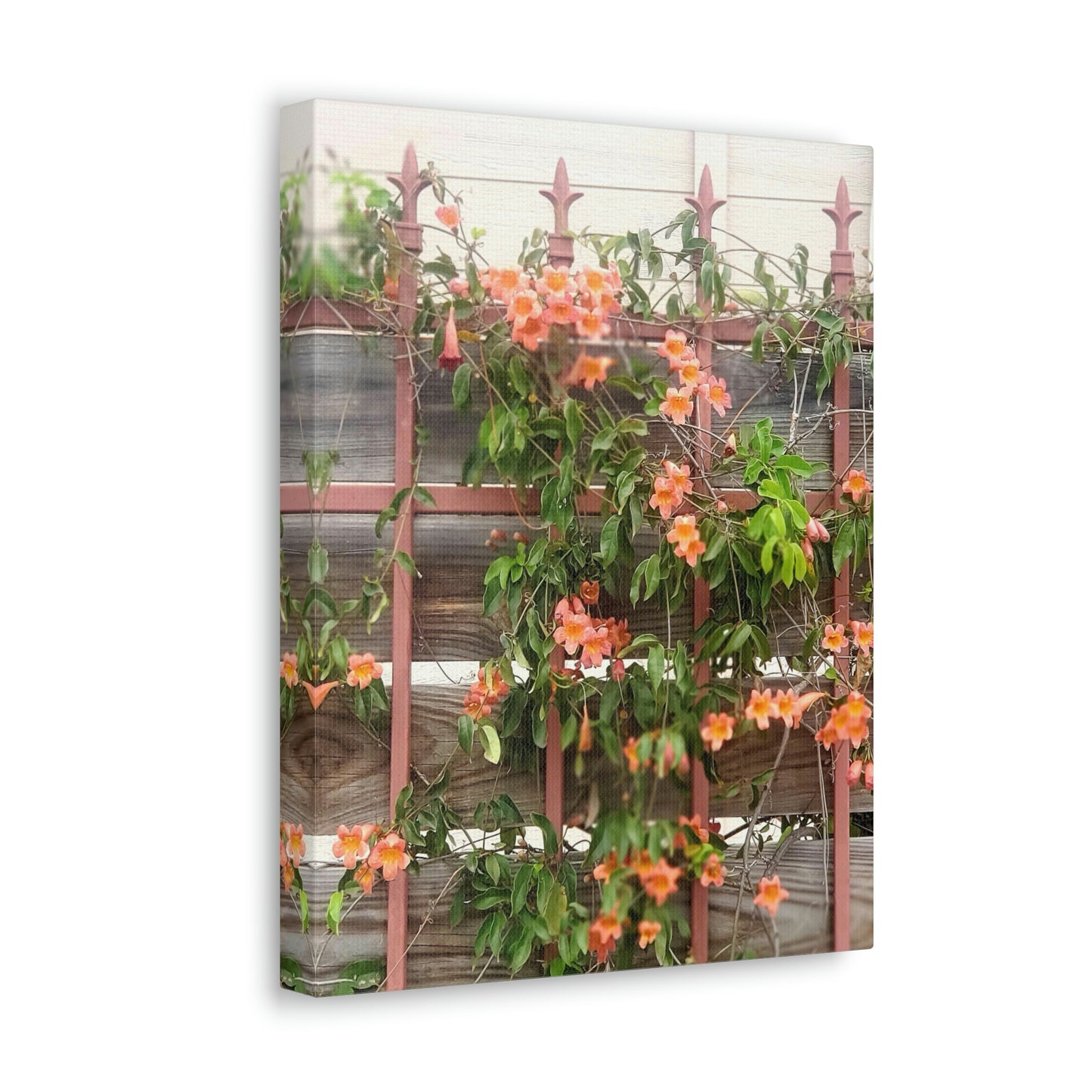 Flowers On A Rugged Fence | Wall Art Canvas | High Bloom Collection | Life By Ortavia