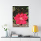 Knockout | Wall Art Print | High Bloom Collection | Life By Ortavia