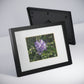 Framed Posters, Black