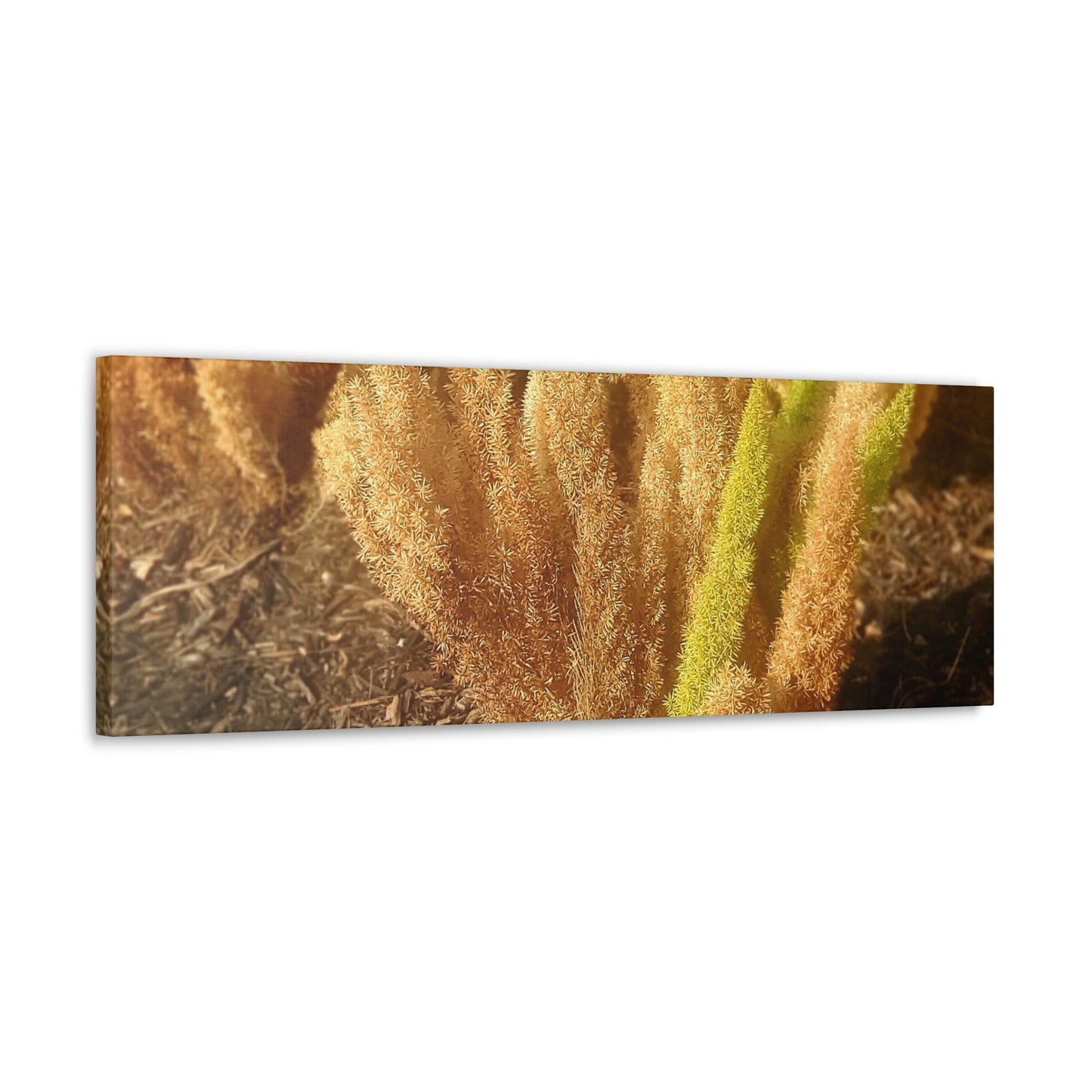 Golden Foxtail Fern | Wall Art Canvas | High Bloom Collection | Life By Ortavia