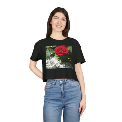 Women's Crop Tee with Europeana Red Rose Signature Print