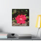 Knockout | Wall Art Print | High Bloom Collection | Life By Ortavia