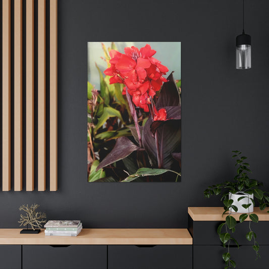 Red Canna | High Bloom Collection | Wall Art Print | Life By Ortavia