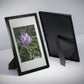 Framed Posters, Black