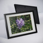 Framed Posters, Black