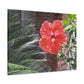 Art Prints & Wall Art, Gallery Canvas with Peach Hibiscus Flower
