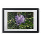 Framed Posters, Black